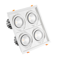 PS-Cardan-1-4 80W&nbsp;
