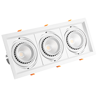 PS-Cardan-1-3 60W&nbsp;